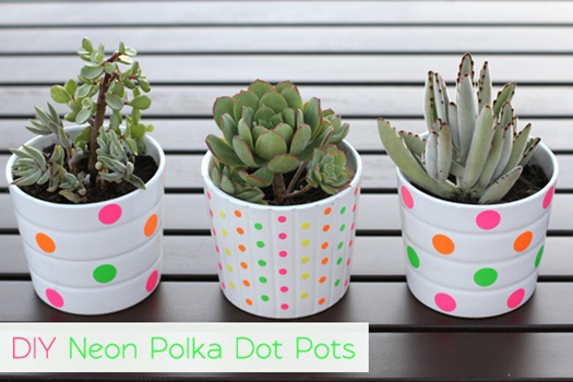 [Neon-Polka-Dot-Pots1.jpg]