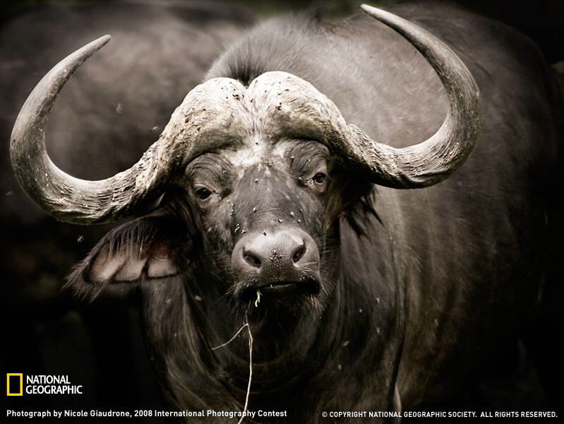 PHOTOS FROM NATIONAL GEOGRAPHIC