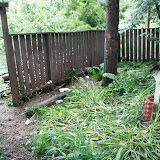 Monday. Same place. The cups and bottles washed up in the flood water.