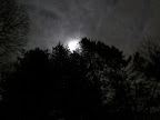 IMG_0175.JPG
