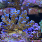 DSC_2117.jpg
