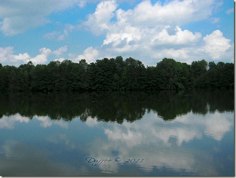 Reflections at the Lake