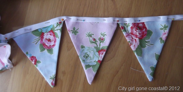 flags pinned to cotton tape