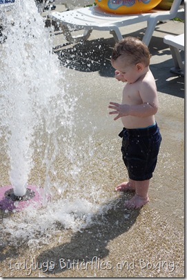 Fun in the Sun 3