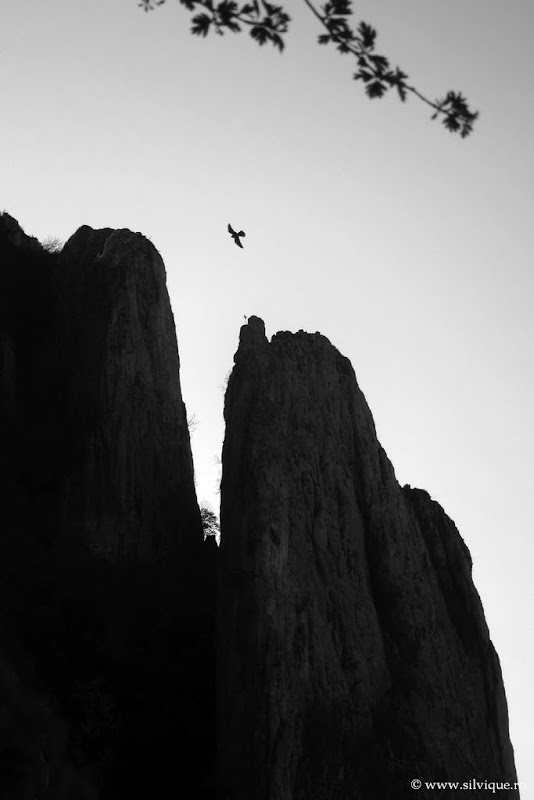 Bicicleta in zona Campina
