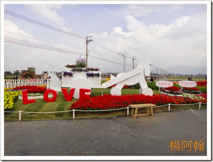 1119 039 - 台中新社花海 1119 039 - 台中新社花海