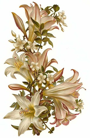 [vintageflowerswhiteorchids5.jpg]