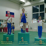&Scaron;portov&aacute; gymnastika