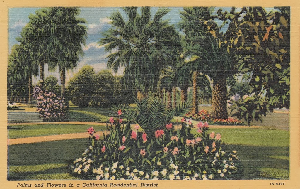 [Palms%2520and%2520Flowers%2520in%2520a%2520California%2520Residential%2520District%2520Pg.%25201%255B4%255D.jpg]