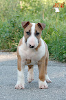 Karmacoma SUPERSTYLIN' 9 weeks