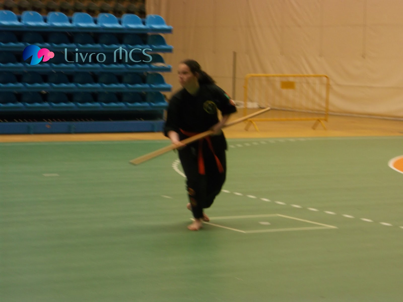 [Blog%2520Gazeta%2520de%2520Espinho003Livro%2520MCS%255B2%255D.jpg]