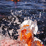 01.05.12 Tartu Kevadpäevad 2012 - Karsumm - AS20120501TKP_V087.JPG