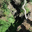 IMGP5933.JPG