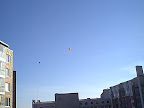 Hot air balloons in the air