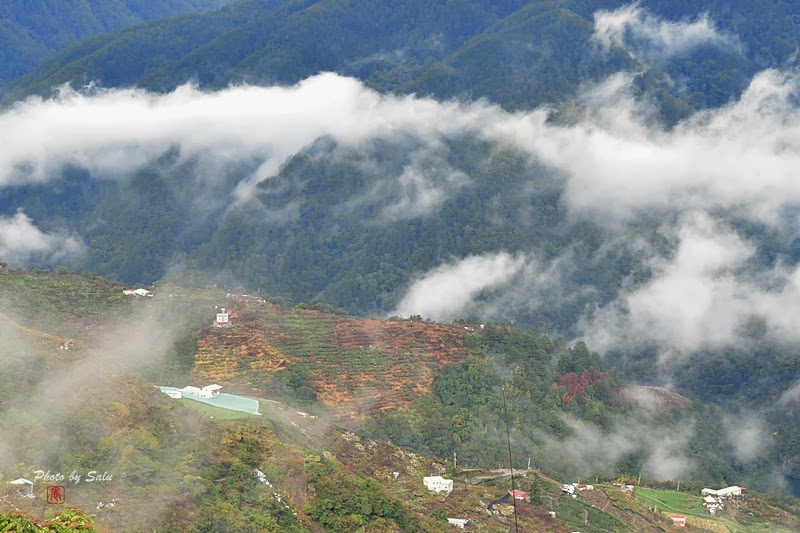 台中 梨山 雲海 参山國家風景區