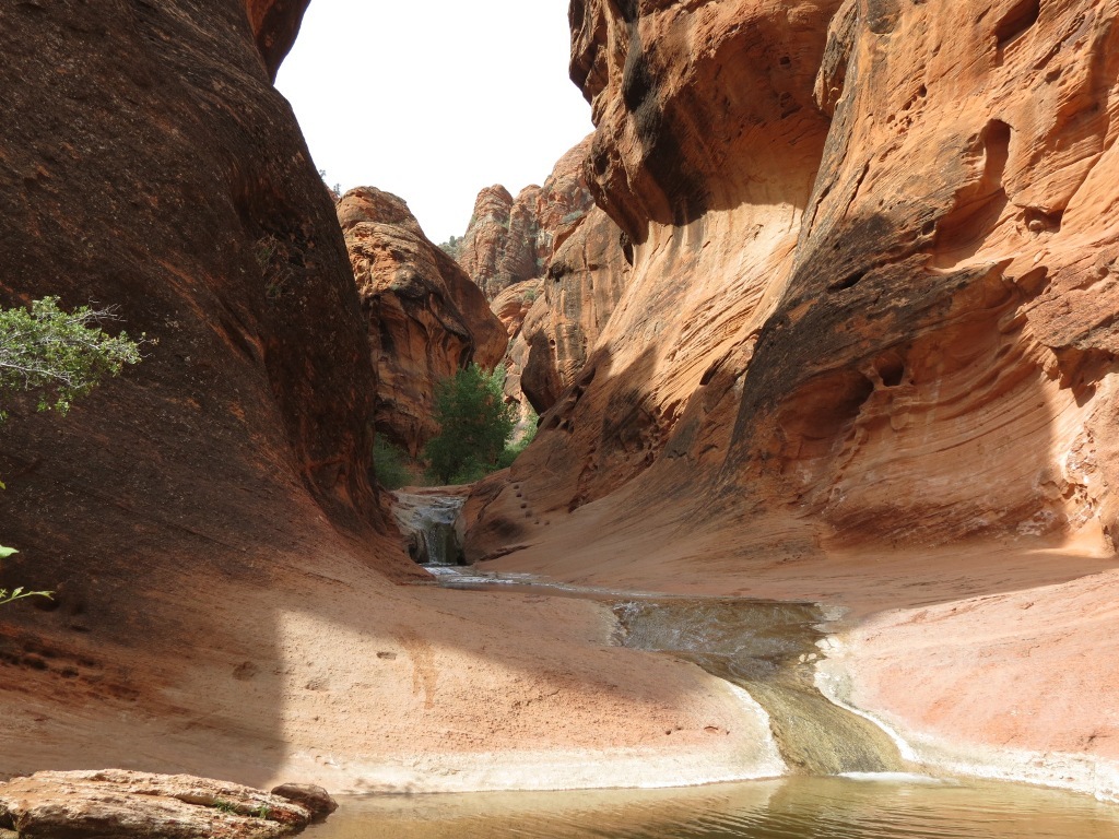 [zion_red_can_2nd_waterfallb3.jpg]