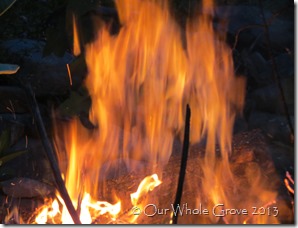 fire fire
