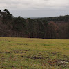 dsc05363.jpg