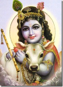 Krishna with cow