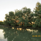 IMG_5716.JPG
