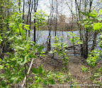 Back on Earth