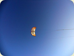 DSCN2453