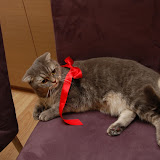 cny-2009