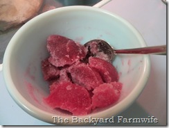 cranberry fruit gels - The Backyard Farmwife