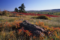 Countryside of Colorado