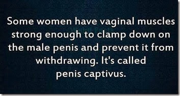 penis captivus