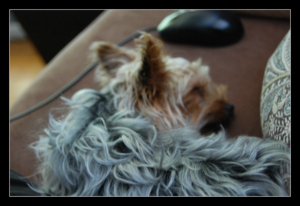[DSC_08824.jpg]