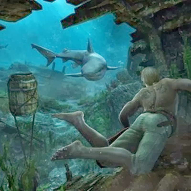 Assassin’s Creed IV: Black Flag – Underwater Shipwrecks Locations Guide (Fundorte der Unterwasser-Schiffswracks)