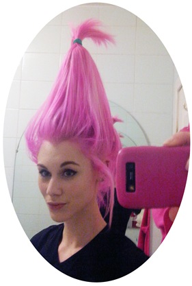 IMG01707-20130327-1944troll