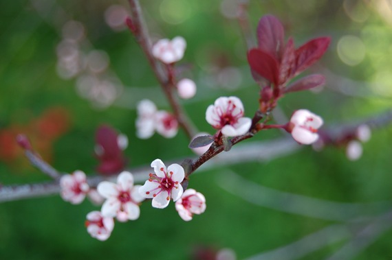 [DSC_0163%255B2%255D.jpg]