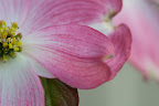 SKJ-2011.05.03-0102.jpg
