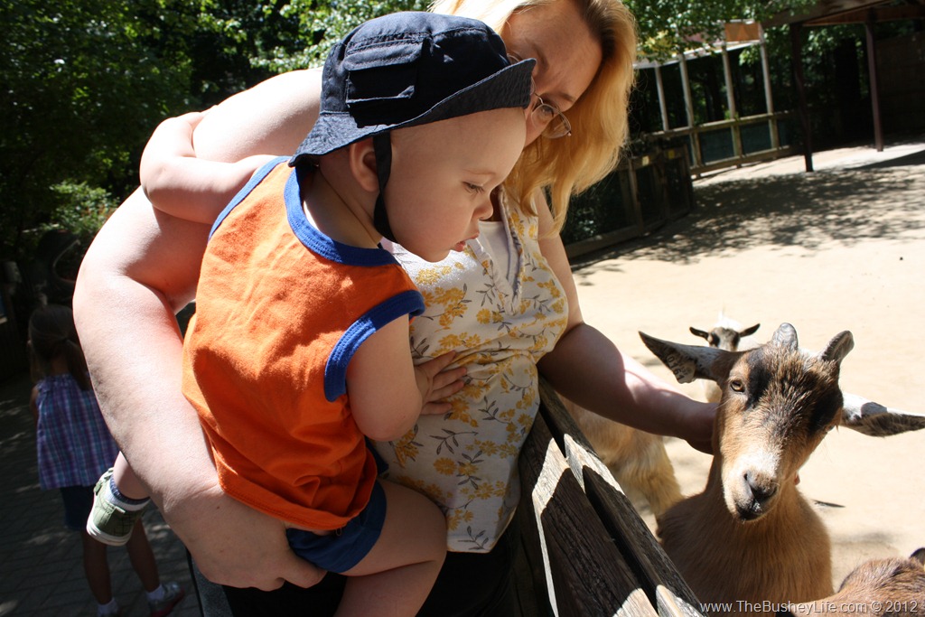 [IMG_0817%255B6%255D.jpg]