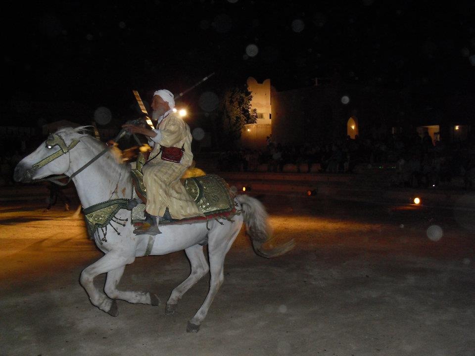 [morocco%2520horse%255B3%255D.jpg]