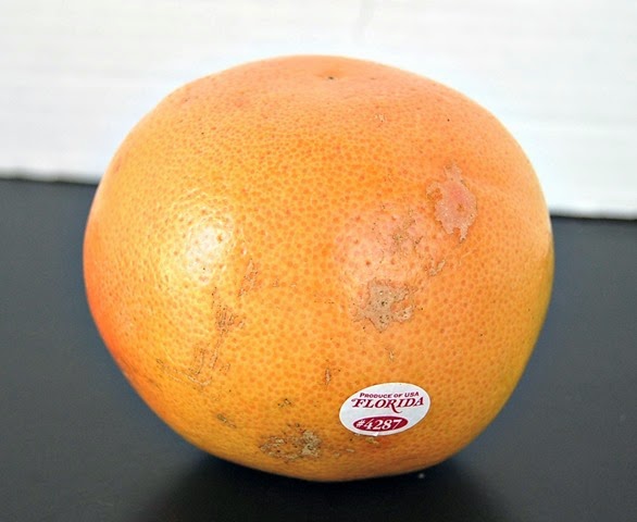 [Grapefruit3.jpg]