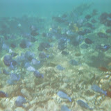 07570014.JPG