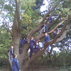 Afb022.jpg