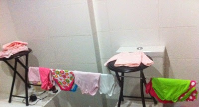 IMG_1147 IMG_1147