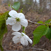 P1010064.JPG
