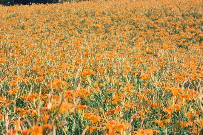 2014_0818_103009 2014_0818_103009