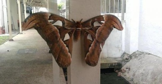 [viral-picdump-pics-09d63d%255B2%255D.jpg]