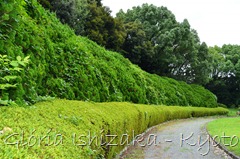 Glória Ishizaka -   Kyoto Botanical Garden 2012 - 100