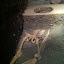 2013-03-19 12.41.27.jpg