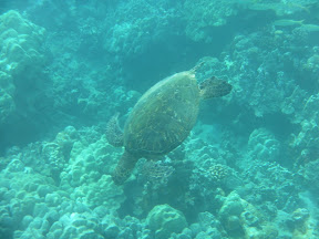 SAM_0274.JPG