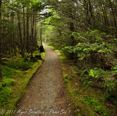 Quoddy _ROT9348 NIKON D3S July 03, 2011