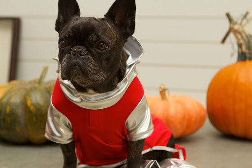 I can really hold my head up fearlessly high wearing red and silver!