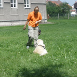 Canis terapie - beseda